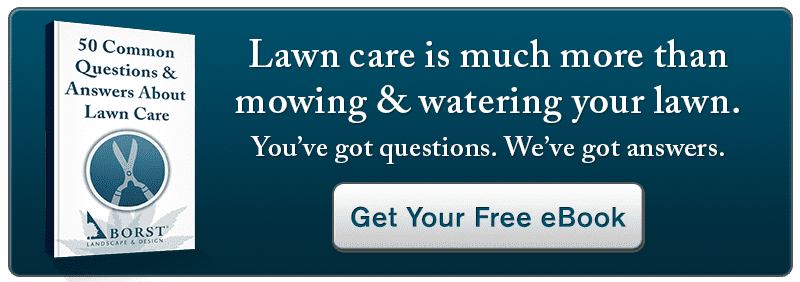 Lawn Care Ebook 