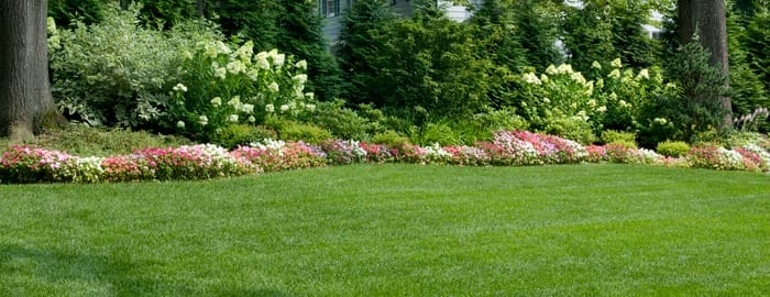 lawn care pest control in Bergen County