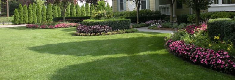 lawn pest control services in Bergen County, NJ