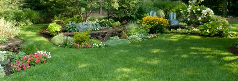 lawn pest control services in Bergen County, NJ