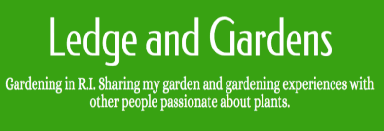 garden design blog