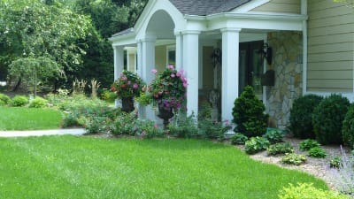 lawn pest control services in Bergen County, NJ