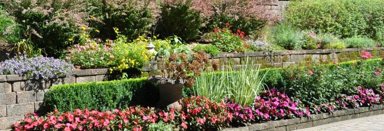 landscaping solutions