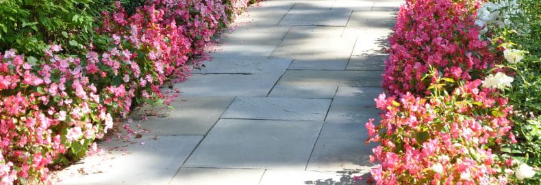 landscaping ideas nj