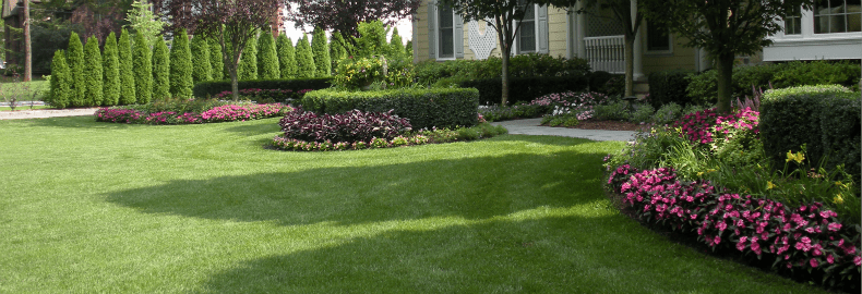 Organic Lawn Care