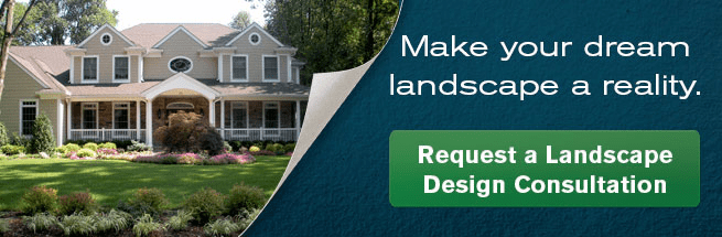 landscape design consultation 
