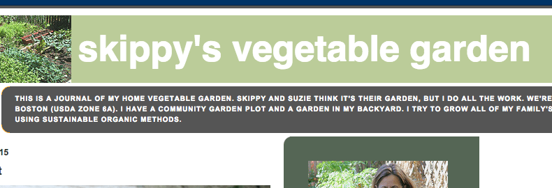 Great Gardening Blogs