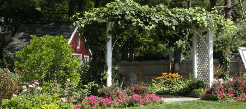 professional lawn maintenance nj