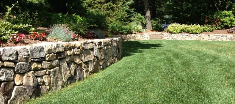 professional lawn maintenance nj