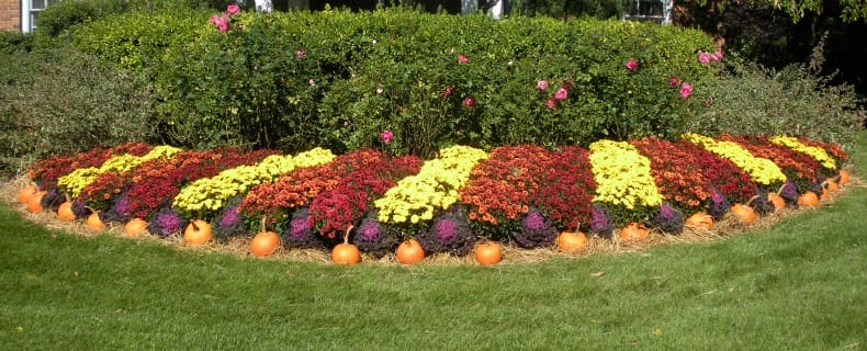 Beautiful Fall Landscape and Lawn Maintenance Borst Landscape & Design in Bergen County, NJ
