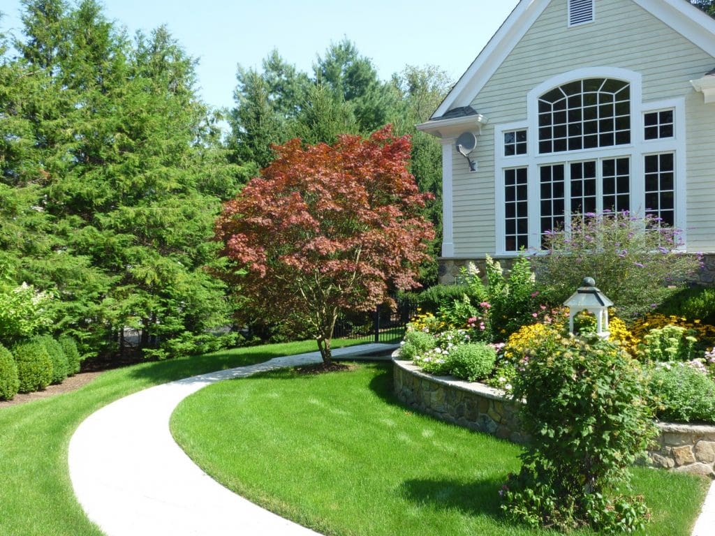 professional lawn maintenance nj