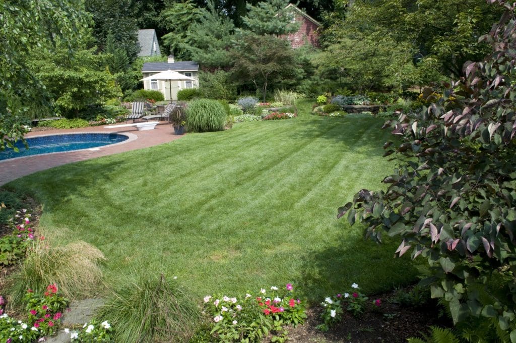 professional lawn maintenance