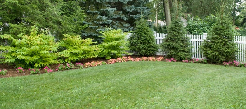 professional lawn maintenance nj