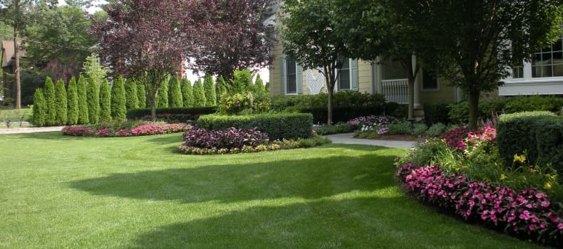 professional lawn maintenance