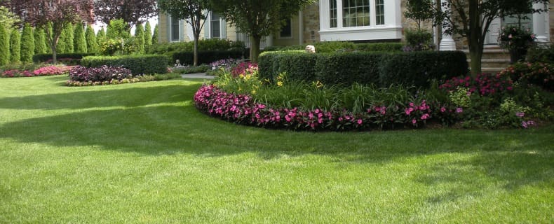 Summer Season Landscaping and Lawn Maintenance by Borst Landscape & Design in Bergen County, NJ