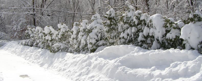 Winter Snow Clean up and Landscape Maintenance by Borst Landscape & Design