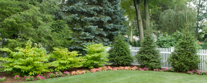 lawn care nj