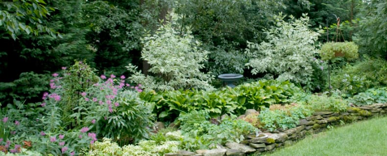 Finding the Best Lawn Care Company in NJ