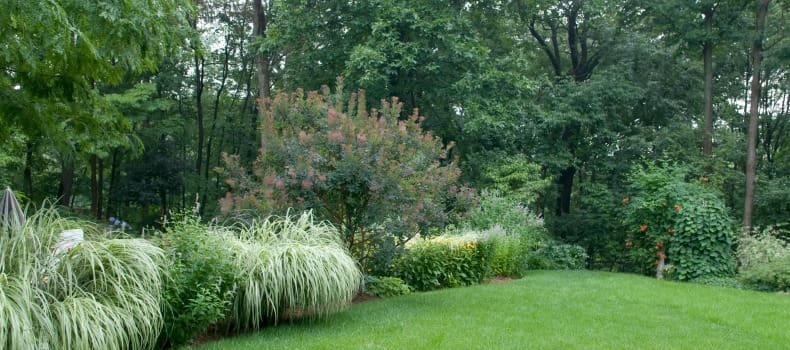 landscape design and maintenance