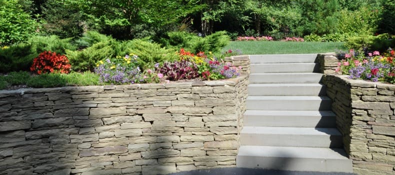 landscape design and maintenance