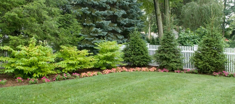 landscape design and maintenance