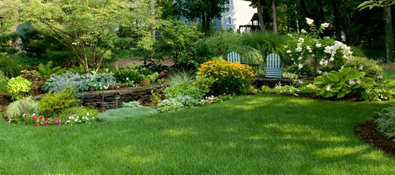 landscape design and maintenance