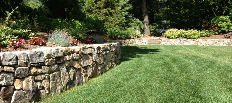 lawn care nj