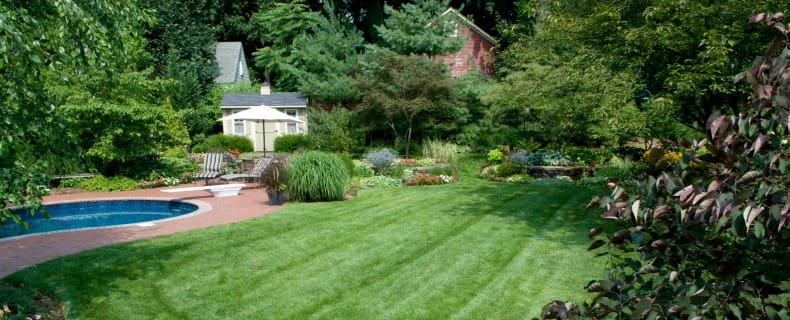 lawn landscape maintenance NJ