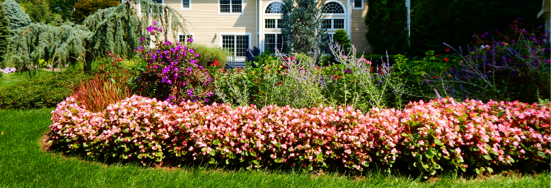 lawn pest control services nj