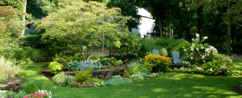 professional lawn care nj