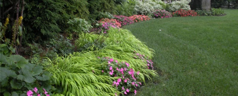 Landscape Design for Steep Slope Stabilization & Erosion Control, Old  Tappan, NJ