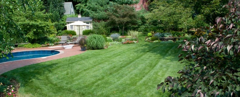 professional lawn care nj