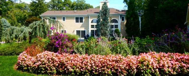 8 Ways Landscape Design Services Increase Home Value