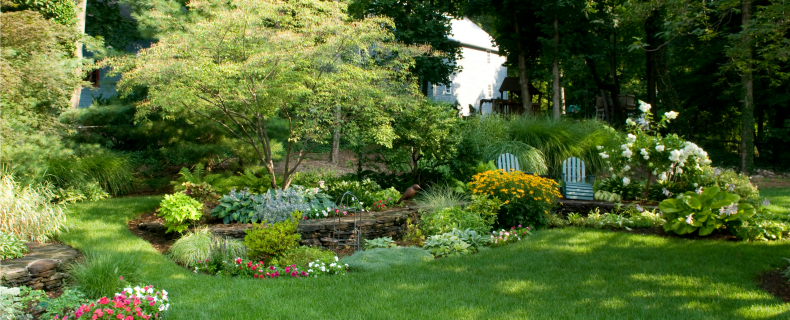 lawn pest control services nj