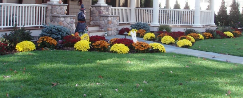 landscaping new jersey