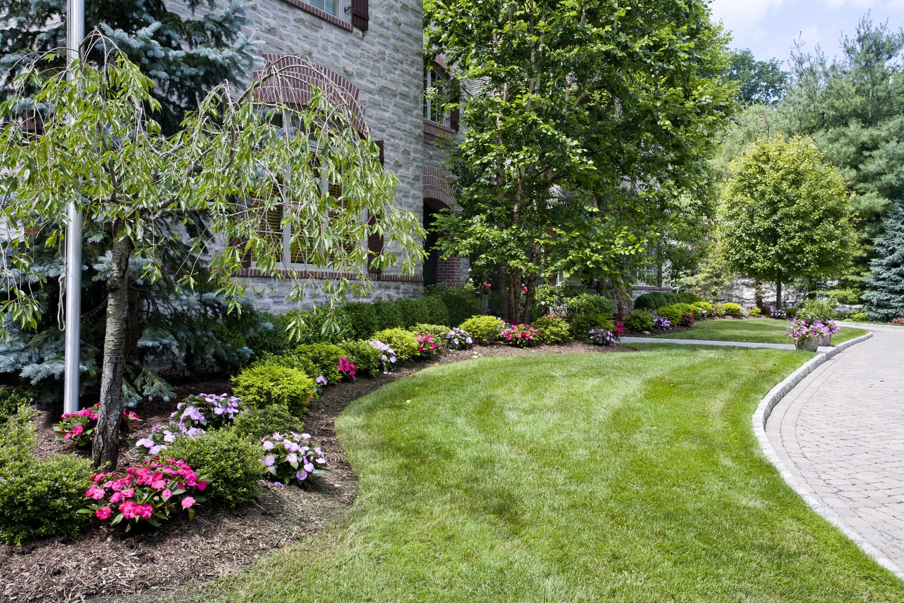Seasonal Plants Year Round Planting Guide