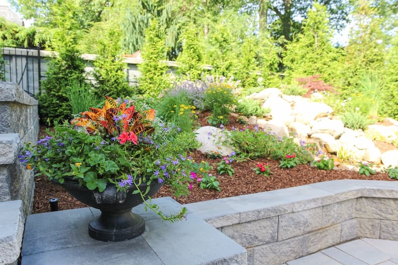 seasonal-planting-guide