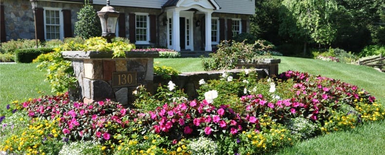 front yard landscape design