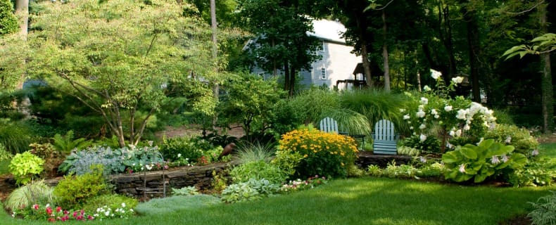 landscape design firm