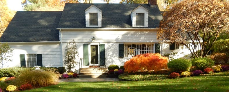 planting perennials in the fall