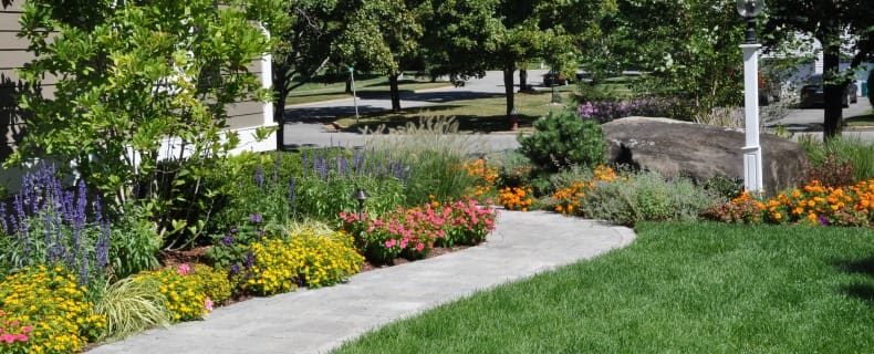 landscape-design-front-yard