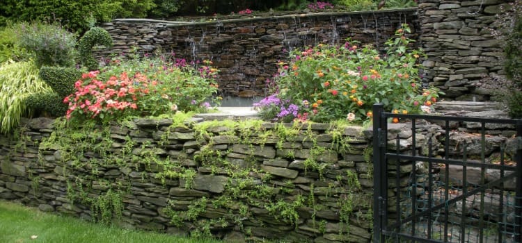 backyard pond ideas bergen county