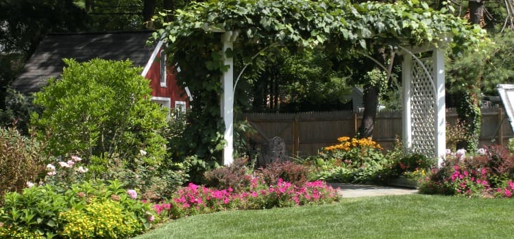 best landscape maintenance services northern new jersey