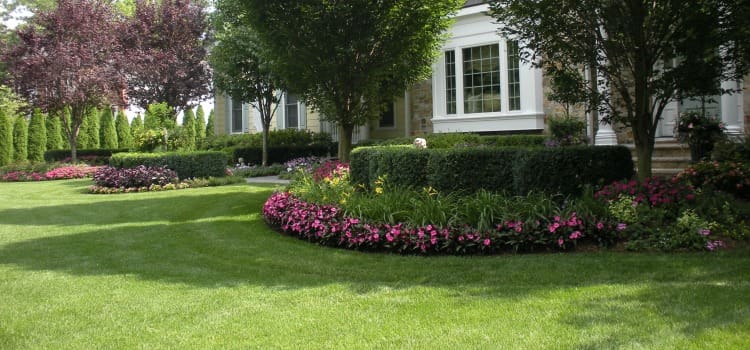 landscape maintenance services new jersey