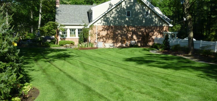 lawn care bergen county