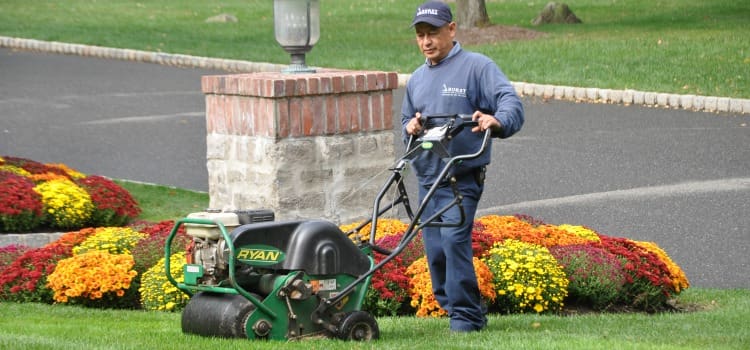 professional bergen county landscaping