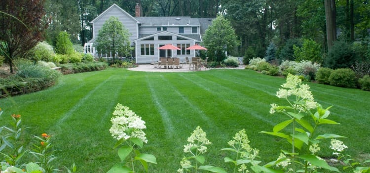 landscaping bergen county new jersey