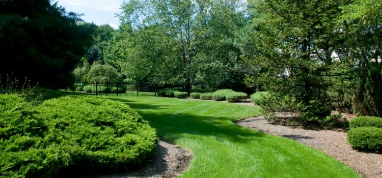 landscaping care and maintenance