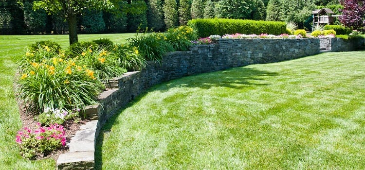 organic landscaping bergen county