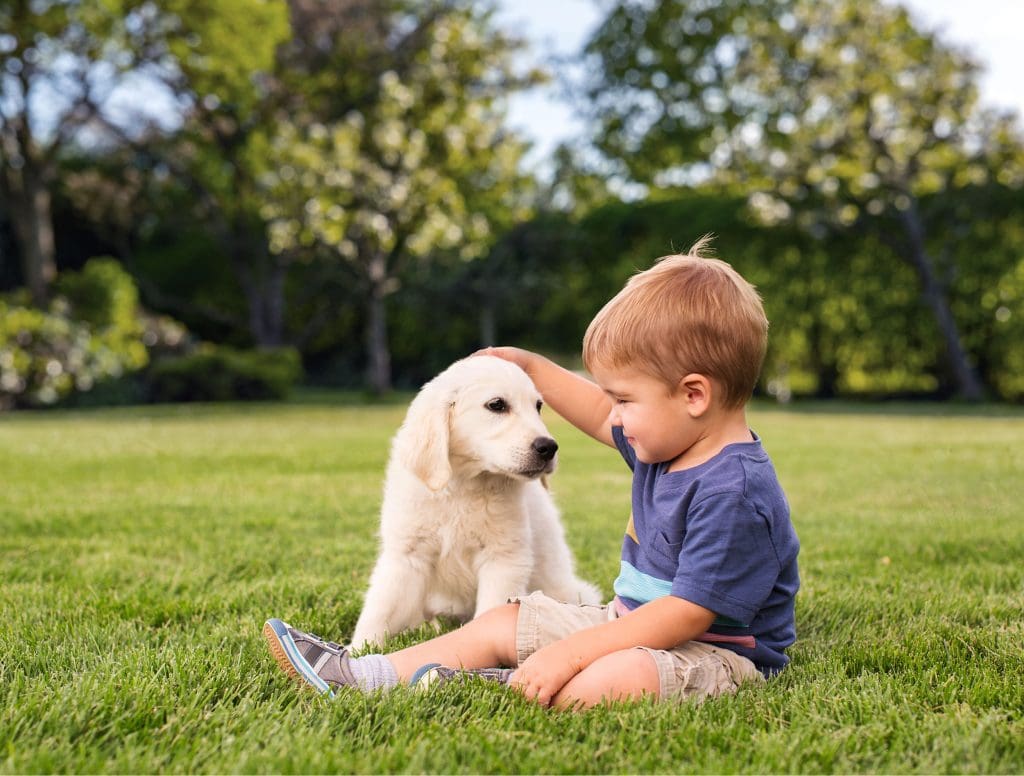 boy and dog on grass